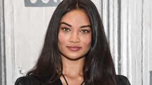 Shanina Shaik's Instagram, Twitter & Facebook