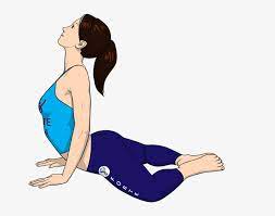 From all fours, spread your knees wide, feet together or shins parallel to the edges of your mat, feet pointing. Frog Cobra Yoga Pose Is A Backbend Pose That Targets Yoga Transparent Png 900x675 Free Download On Nicepng