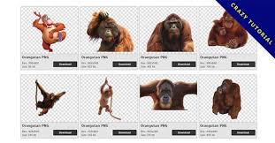 This file has been extracted from another file: 25 Orangutan Png Image Collection For Free Download