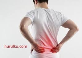 6 Obat Sakit Pinggang Di Apotik Dan Alami Yang Ampuh Nurulku Blog Penyakit Orang