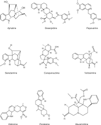 Image result for Rauvolfia mombasiana