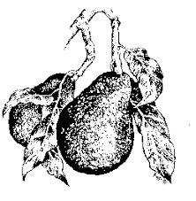 Image result for Avocado Light 1969 Tappan