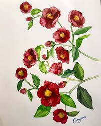 Camellia Japonica In 2020 Watercolor Art Painting Art