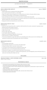 merchandise assistant resume sample
