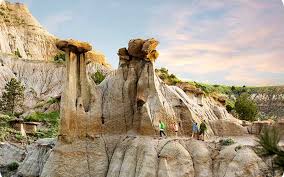 Image result for Harungana montana