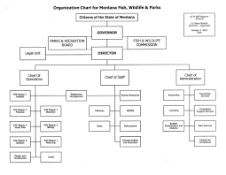 Organizational Chart Rules How To Pronounce Indices