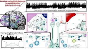 Image result for Afrosolen coeruleus