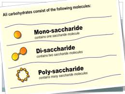 Classification Of Carbohydrates