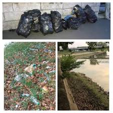 The fans don't like the show's hypocrisy over dee nguyen's blm comments. Trashtag From Hungary Let S Make This Challenge More Viral Pics