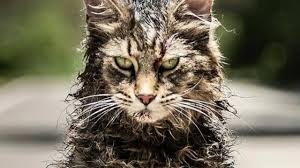 Explaining The Ending Of Pet Sematary Youtube