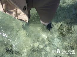 「市橋　オーハ島」の画像検索結果