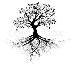 Unique Of Tree With Roots Clipart Black And White Mango Tree With Roots Clipart Black And White Great Oak Tree Drawings Family Tree Tattoo Oak Tree Tattoo