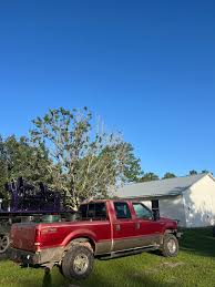 Image result for Bright Amber 1999 F250