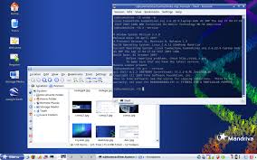 Image result for metisse mandriva