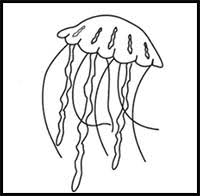 Maybe you would like to learn more about one of these? How To Draw Cartoon Jellyfish Realistic Jellyfish Drawing Tutorials Drawing How To Draw Jellyfish Drawing Lessons Step By Step Techniques For Cartoons Illustrations