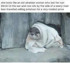 Funny Animal Meme Pictures That Make You Cry With Laughter 35 Funny Animals Cute Animals Funny Animal Memes