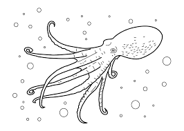 We did not find results for: Octopus Real Sea Animals Coloring Pages For Kids Printable Free Sea Animals Coloring Pages Animals Coloring Pages Sea Animals Coloring Pages For Kids