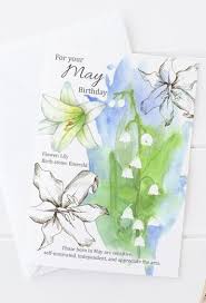 Birthstones and flowers and their meanings. What Are The May Birth Flowers Lily Of The Valley And Hawthorn