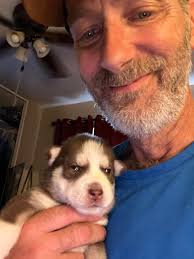 I guess 10 huskies is enough!! 🤣🤣