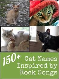 Here are some unique names for gray and orange striped cats that celebrate their connection to their bigger cousins of the tiger family are you blessed with a new striped kitty in need of a unique name? Bengal Cat Personalised Portrait Bengal Cat Print Cat Etsy Unique Cat Names Bengal Cat Names Cute Cat Names