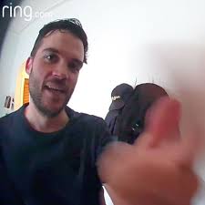 Ring doorbell may also be compatible with your current hardwired doorbell. What It S Like To Own An Amazon Ring Doorbell Camera