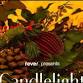 Candlelight: Christmas Carols on Strings