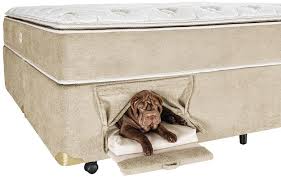 Cama De Casal Com Casinha De Cachorro Pin Em Gatos