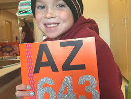 Make those summer plans to attend a summer camp at @az_dingers. There are  lots of options for your players 7 years and up to attend with a former MLB  player. AZ Dingers