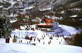 We did not find results for: Xionodromiko Kentro Agrioleykes Tasia Mountain Hotel Xania Phlioy