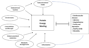 Each carbohydrate choice has about 15 grams of available carbohydrate. Intestinal Microbiota In Ckd Esrd Ckd Esrd Chronic Kidney Disease End Download Scientific Diagram