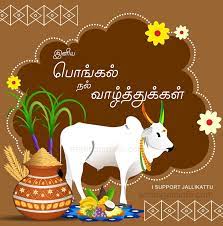 Pin On Pongal Greetings