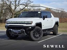 Image result for Coastal Dune 2026 Hummer