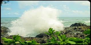 Nach den erdrutschen auf hawaii (1868 am mauna loa und 1975 am kīlauea) kam es zu großen lokalen tsunamis, ohne dass die amerikanische oder die asiatische küste gefährdet waren. Will There Be A Mega Tsunami In Hawaii