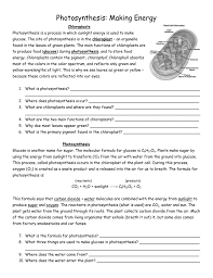 Potential and kinetic energy printables. Photosynthesis Worksheet