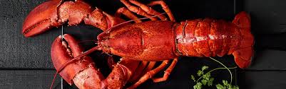Its Officially Lobster Season Fish And Seafood