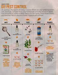 Happy Healthy Holistic Health Starts In The Kitchen Diy Pest Control Lawn Pests Lawn Pest Control