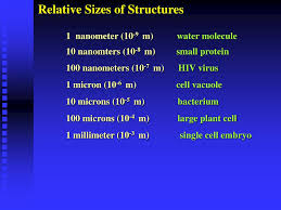 Plant morphology treats both the vegetative structures of plants, as well as the reproductive structures. Ppt Chapter 4 Cell Structure A Tour Of The Cell Powerpoint Presentation Id 5706390