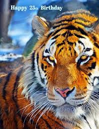 A 25 year old man would love a funky and stylish gift that would accord with his air of stylishness. Happy 25th Birthday Notebook Journal Diary 105 Lined Pages Birthday Gifts For 25 Year Old Animal Lovers Tiger Lovers Women Or Men Best Friend Sister Brother Co Worker 8 1 2 X 11 By