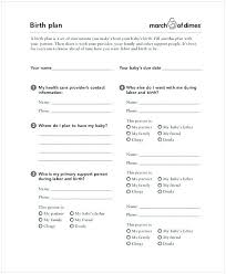 Customizable Birth Plan Template Free Editable 51 Free Download Birth Plan Templates For Your Labor Time Birth Plan Template Simple Business Plan Template Business Plan Template