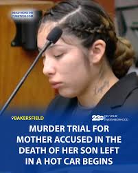 While Maya Hernandez sat and chatted about Fourth of July plans with other  parents, her two small children were just yards away sitting in a car that  had heated to an internal