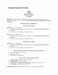 computer skills resume sample