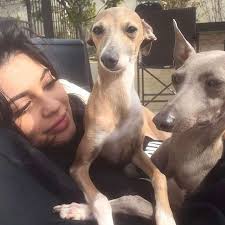 Kylie Jenner's Beloved Italian Greyhound Norman Dies at Age 11