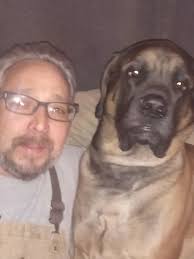 Starting dog breeding business for service dogs