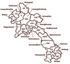 Image result for Ophrestia radicosa