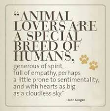  57 Dog Dog Mom Quotes Humor Ideas I Love Dogs Dog Mom Dog Quotes