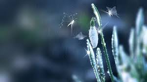 Температура, ветер, давление, осадки и загрязнение воздуха Pogoda Na Majskie Prazdniki 2021 V Kieve Harkove Odesse Dnepre Lvove Bukovele Donecke