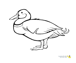 Click the picture below to make it larger, then print out your favorite daffy duck coloring page! Duck Coloring Pages Kiddo