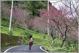 Include (or exclude) self posts. 2020å¹´çŽ‰å±±ç¥žå­¸é™¢åˆæ«»ç¶»èµ· æ«»æ®·æœŸå¾… ç·‹ç´…é¦–éƒ¨æ›² é€æ—© ä¸æœŸè€Œé‡ä¹‹ç¾Žéº—å°è¦– è¼•æ—…è¡Œ