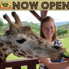 Drive Thru Safari Park Zoo Virginia Safari Zoo Natural Bridge Va Safari Park West Virginia Travel Zoo