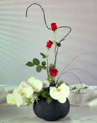 Modesto exotic flowers, modesto, stanislaus county, california, united states — location on the map, phone, opening hours, reviews. Modesto Exotic Flowers
